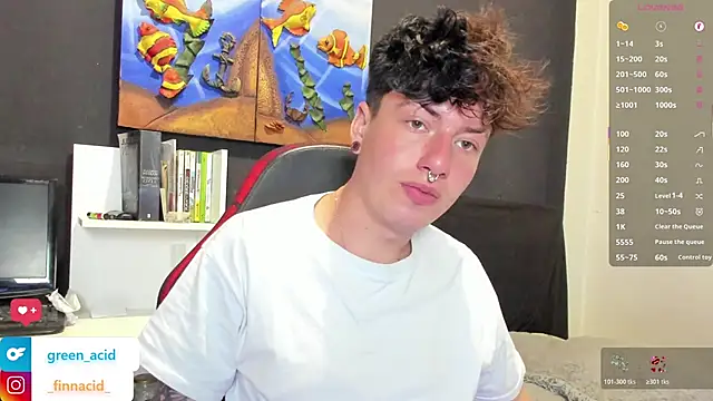 Green_acid01n Webbikameraesitys