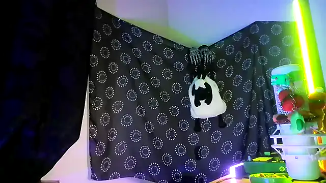 Guyst049 Webcam-Show