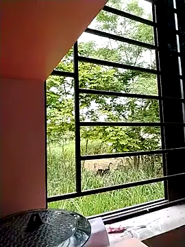 Moubie1 – Live XXX-chat