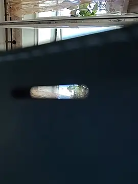 EffectFiona Webcam show