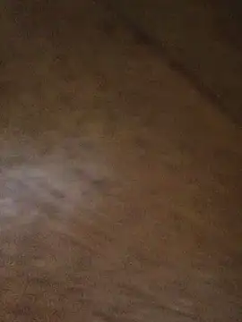 hoang15075 Show Webcam