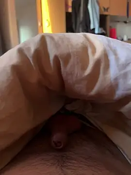 labdbdjn Webbikameraesitys