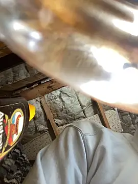 Show webcam de IDGAF-INDB