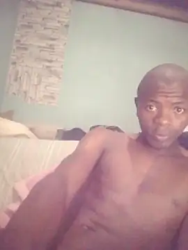 DigCrok 现场XXX聊天