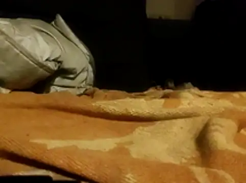 Pokazy przed kamerką – pit4296