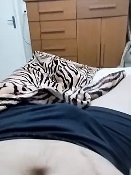 tubarao19 Webcamshow