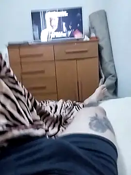 Show de webcam de tubarao19