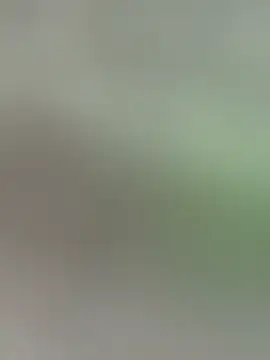 YouCandiSumisan Webbikameraesitys