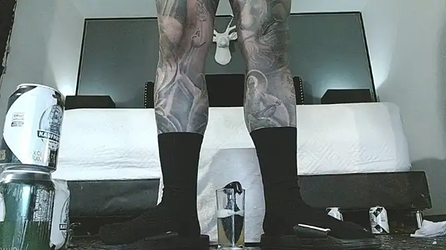 Show webcam de danilog515