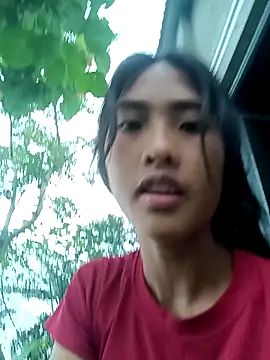 Hoa-tuylip Show Webcam