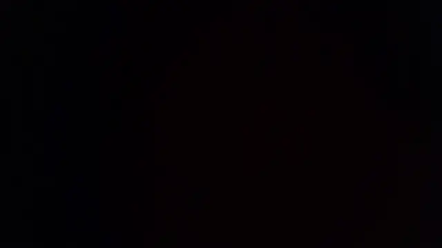 flowernnet Obrolan Langsung XXX