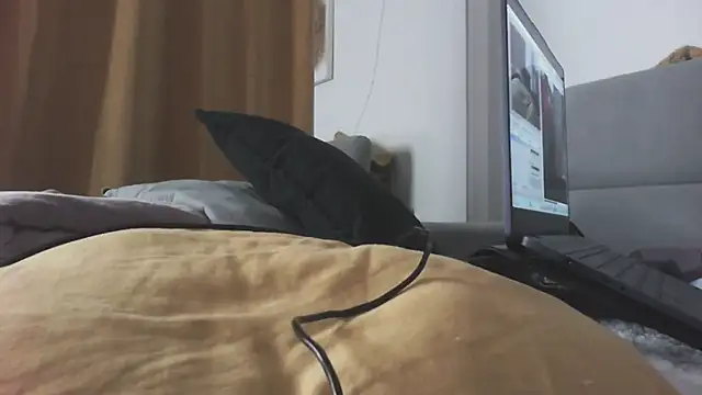 Show de webcam de Prollbitch