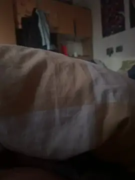 labdbdj – Kamerová šou