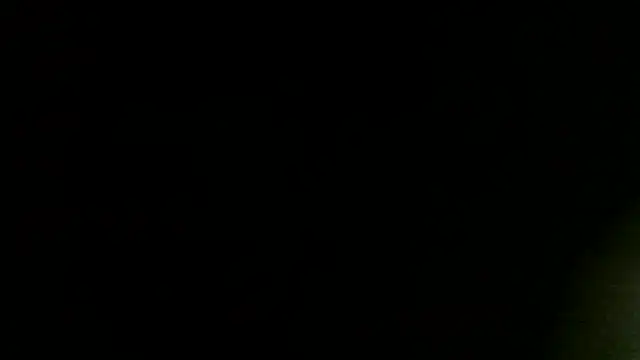 Show Webcam de lost_reality