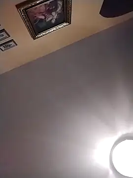 pursy5423n Webbikameraesitys