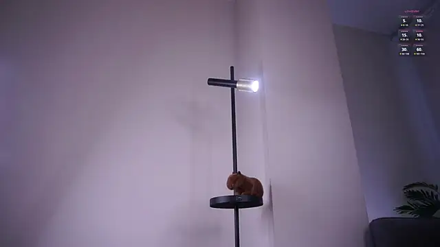 Онлайн чат XXX ClarineCasebolt