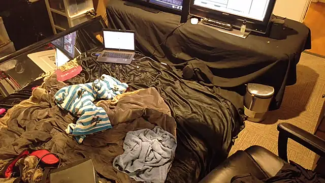 Show Webcam de AQuickPhyx