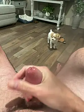 Hithere557 – webcam-show