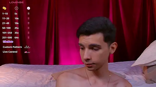 VicenteFerrer Webcam Show