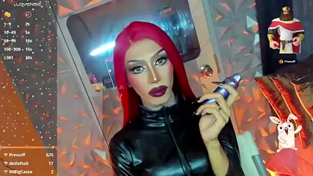 anitacruise Show Webcam