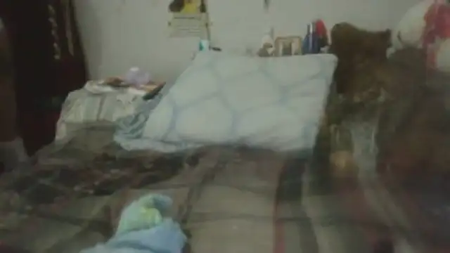 paradisejasのライブXXXチャット