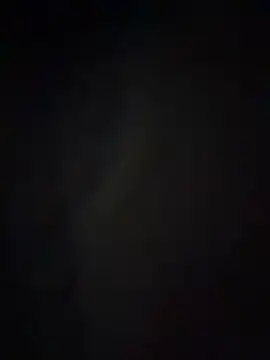 FoxyMood Webcam show