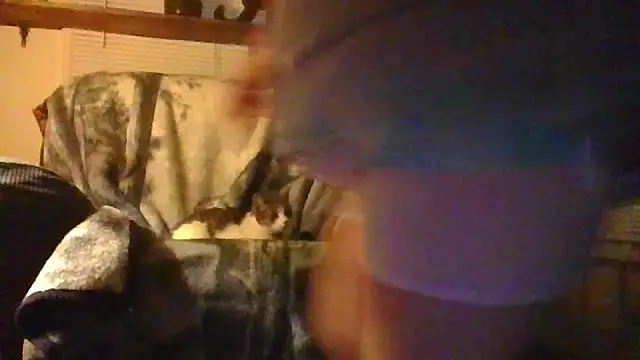 ajsin7 – webcam-show