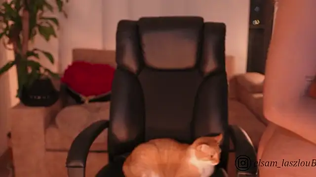 sammy_laszlowのウェブカメラショー