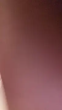 SitOnMyFace8426 webkamerás műsora