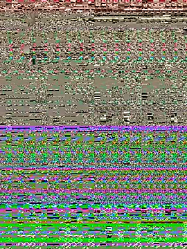 RoyalDuoX Show in webcam