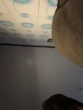 Show de webcam de alicemeb