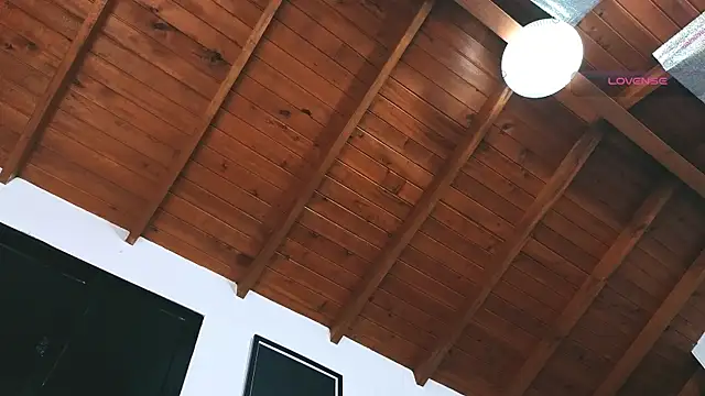 SilvaBranko – Naživo XXX chat