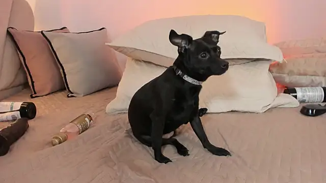 Chat XXX en directo de _luuciana_