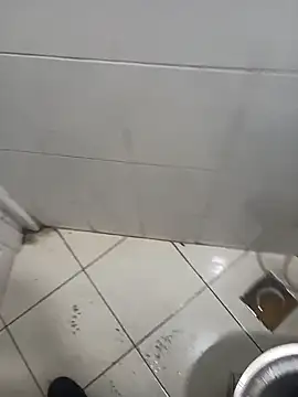 عرض كام Stallionbull37