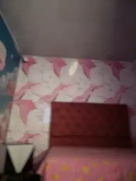 Sasha-firee élő XXX-chatje