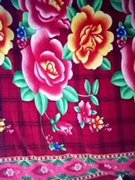 toyo_668 Show Webcam