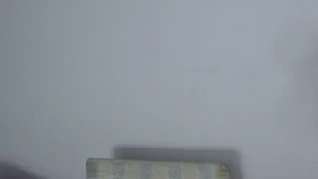 cirosky_elchicopolla 웹캠 쇼