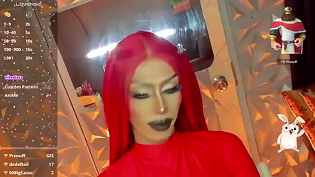 anitacruisen Webbikameraesitys