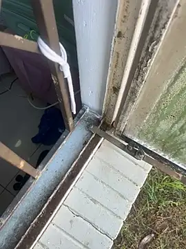 bmw65443 live XXX chat