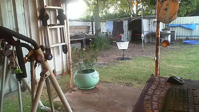 Webkamerová show herbie010666