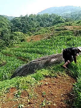 kalara_kail Pertunjukan Webcam