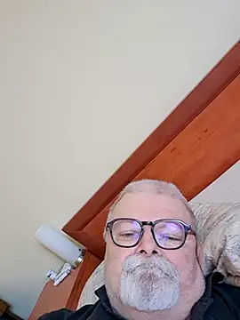 Show modela petvarad na web-kameri