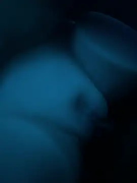 Show webcam de crossroad25