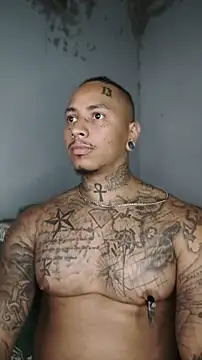 David_tatto1's Live XXX Chat