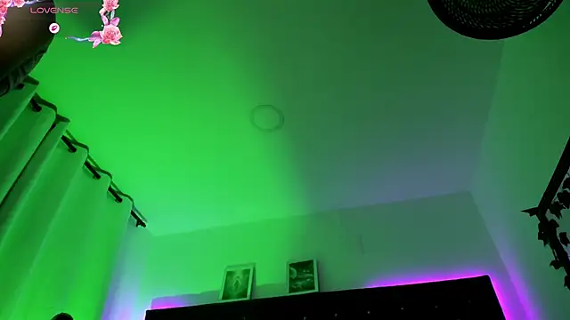 Онлайн чат XXX BellaRoge