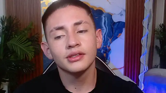 Andres_Tayn Webbikameraesitys