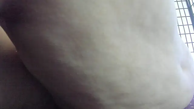 AishaRouhi Webcam-Show