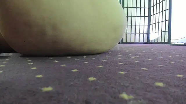 AishaRouhi 现场XXX聊天