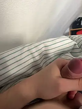 hannes256102 Webcam Show