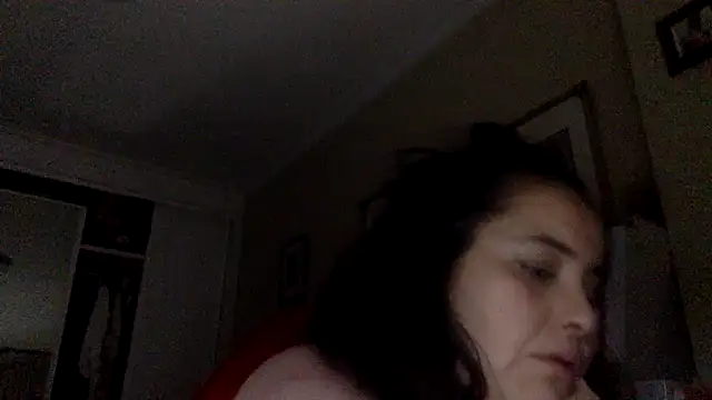 Diplomatic Webcam-Show